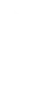 cta-button-icon