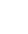 Flutter