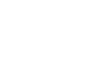 C#