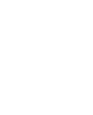 Flutter